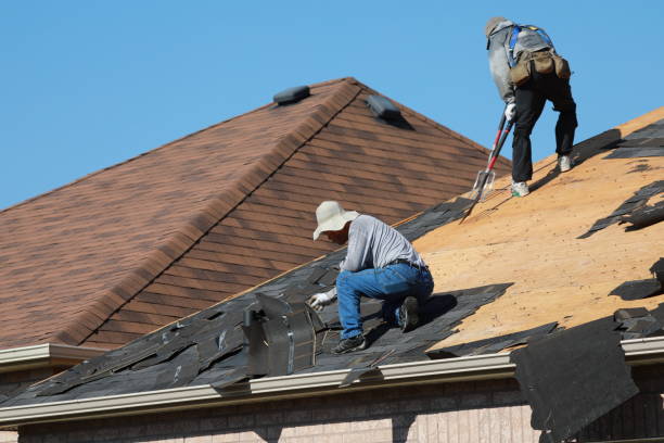 Best Metal Roofing Installation  in Warsaw, IL