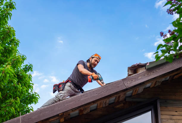 Best Roof Ventilation Installation  in Warsaw, IL